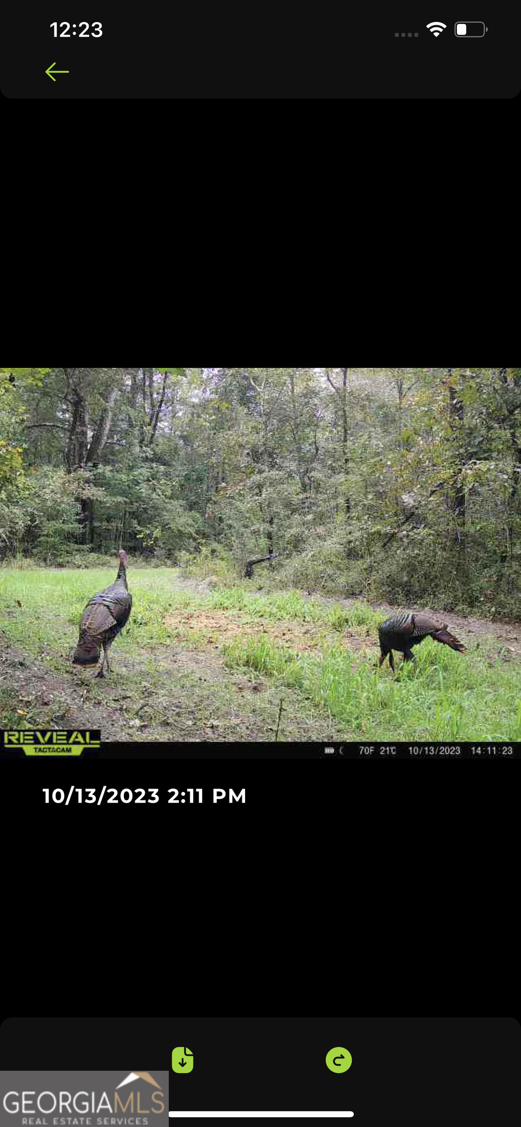 0 Highway 17 Property Photo 22