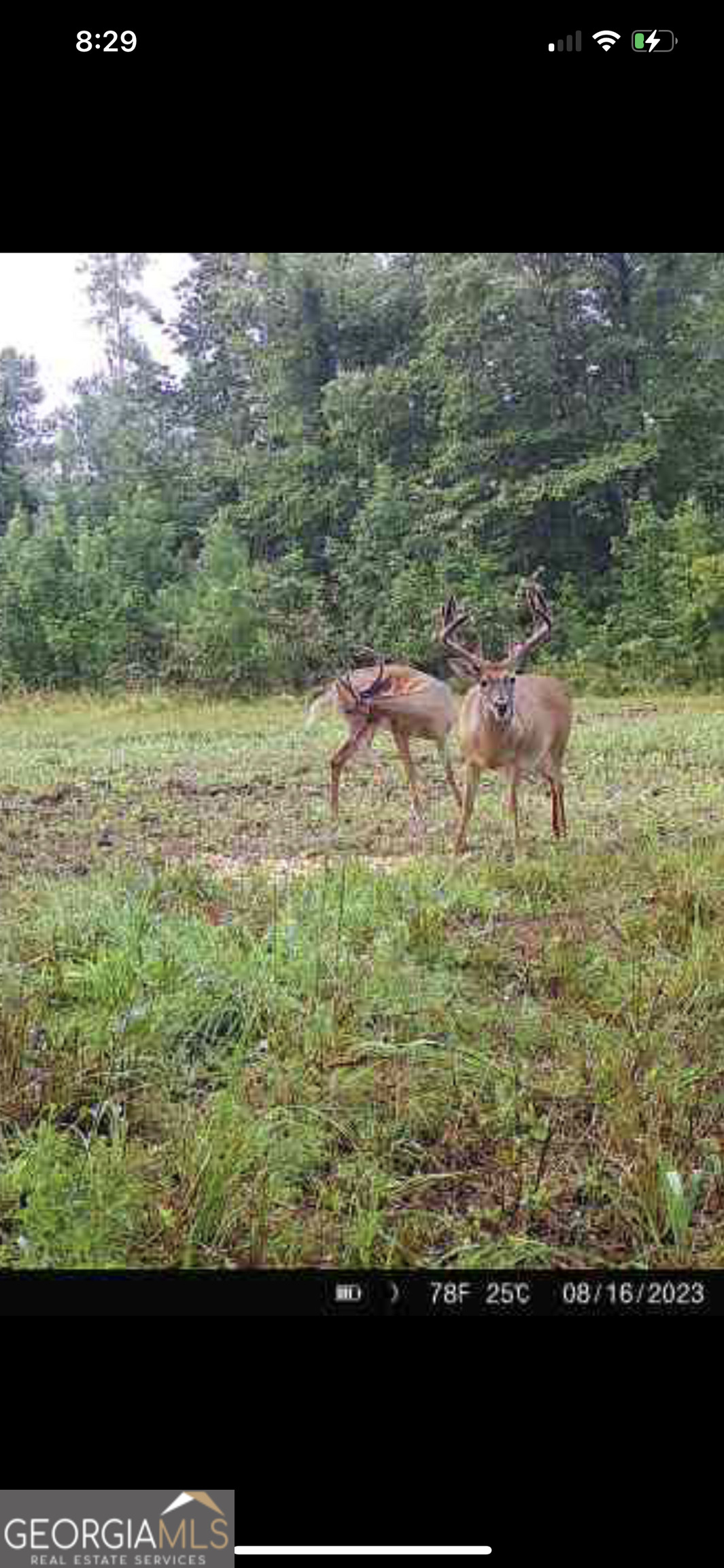 0 Highway 17 Property Photo 25