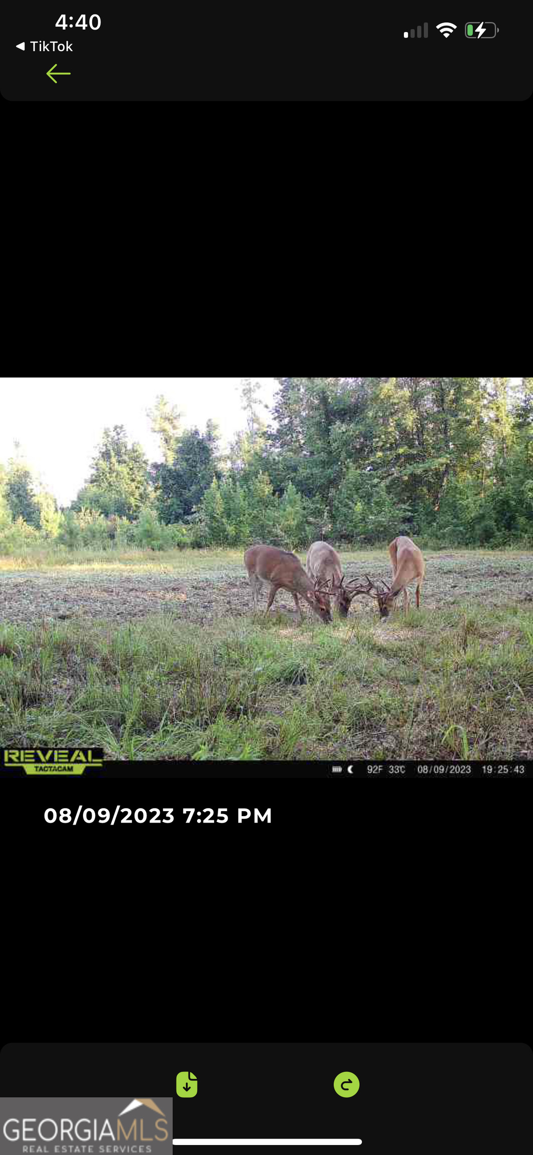0 Highway 17 Property Photo 26