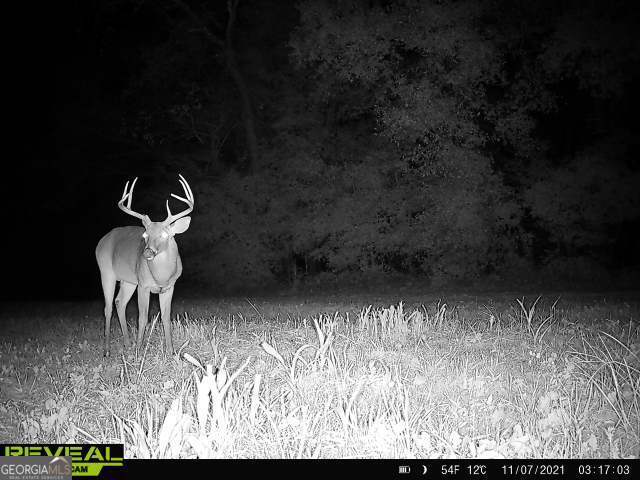 0 Highway 17 Property Photo 28