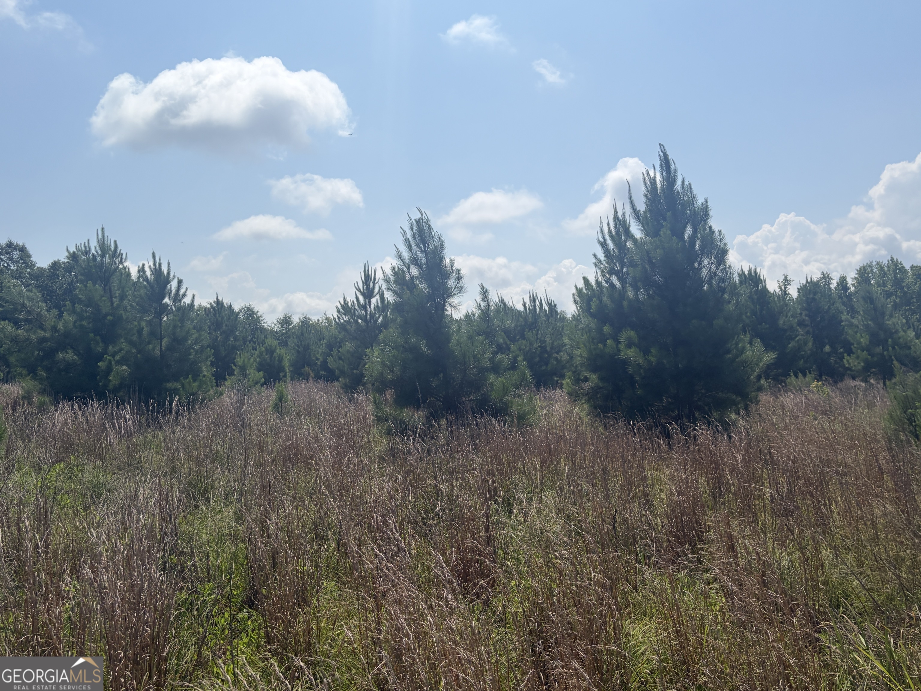 0 Highway 17 Property Photo 33