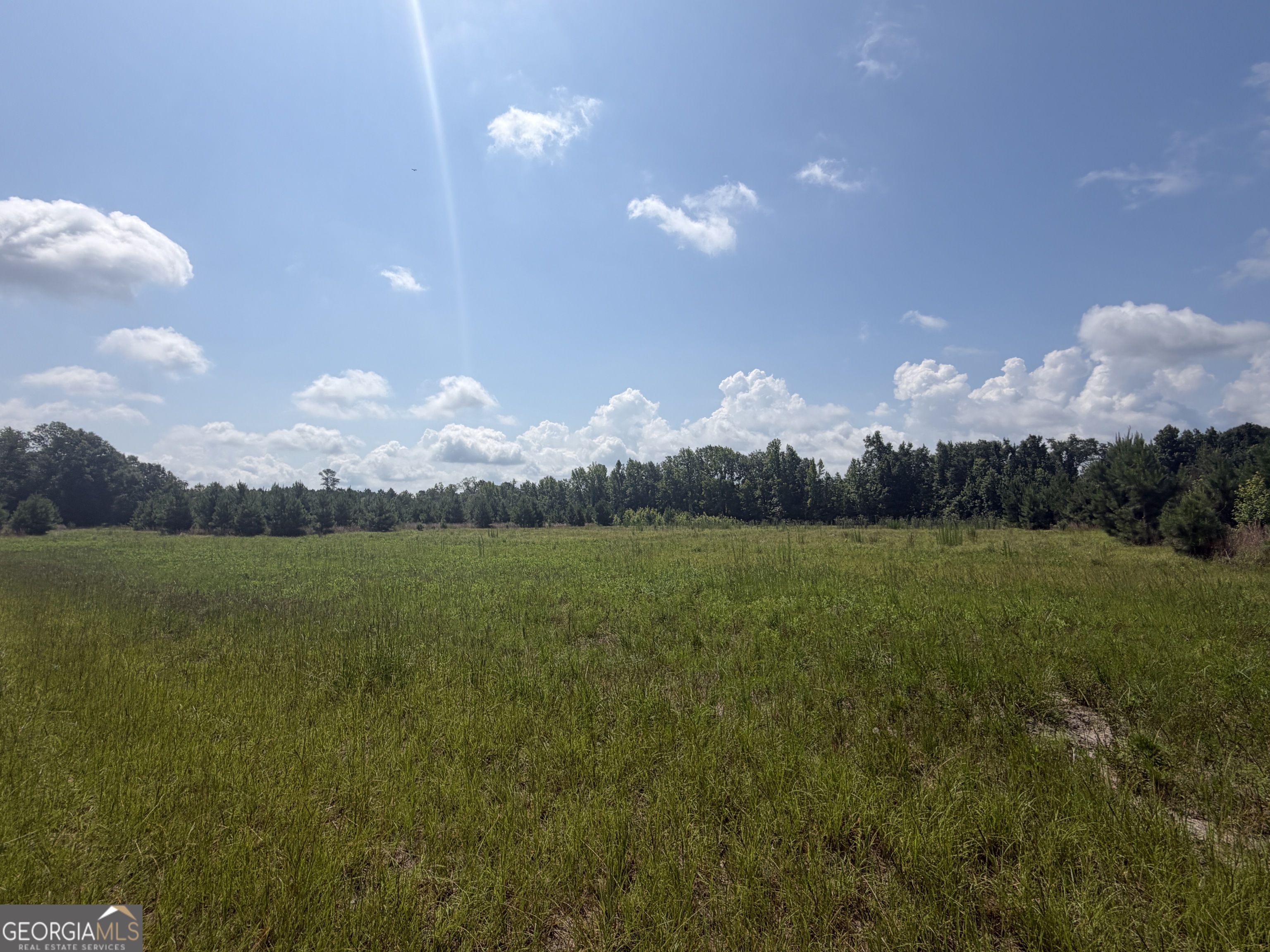 0 Highway 17 Property Photo 34