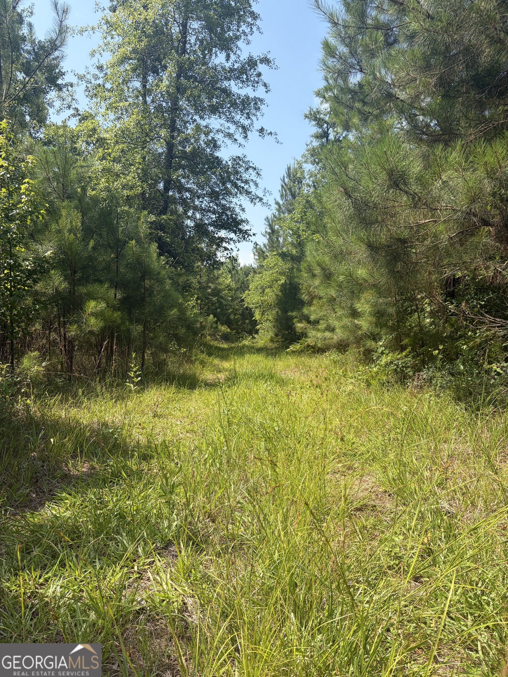 0 Highway 17 Property Photo 35