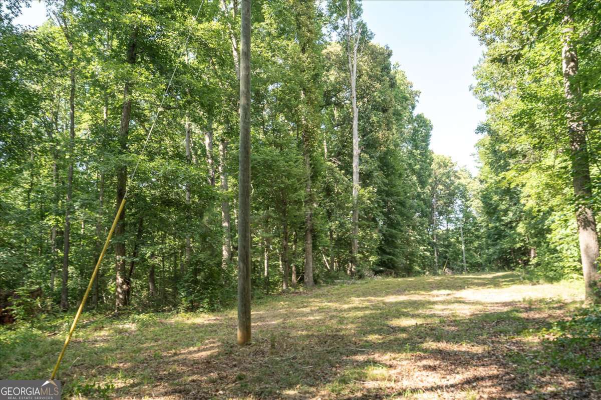 2416 Cleveland Drive Property Photo 10
