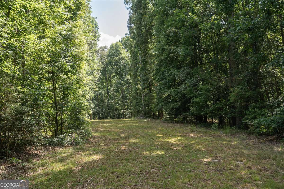 2416 Cleveland Drive Property Photo 11