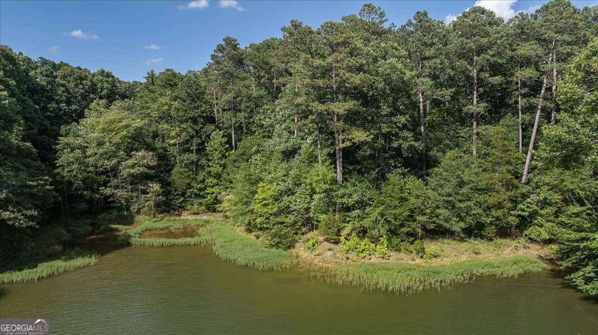 2416 Cleveland Drive Property Photo 13