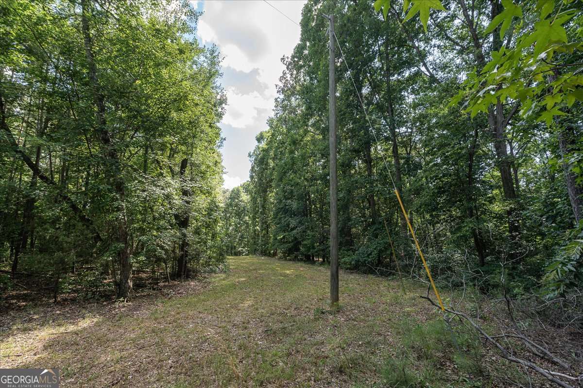 2416 Cleveland Drive Property Photo 26