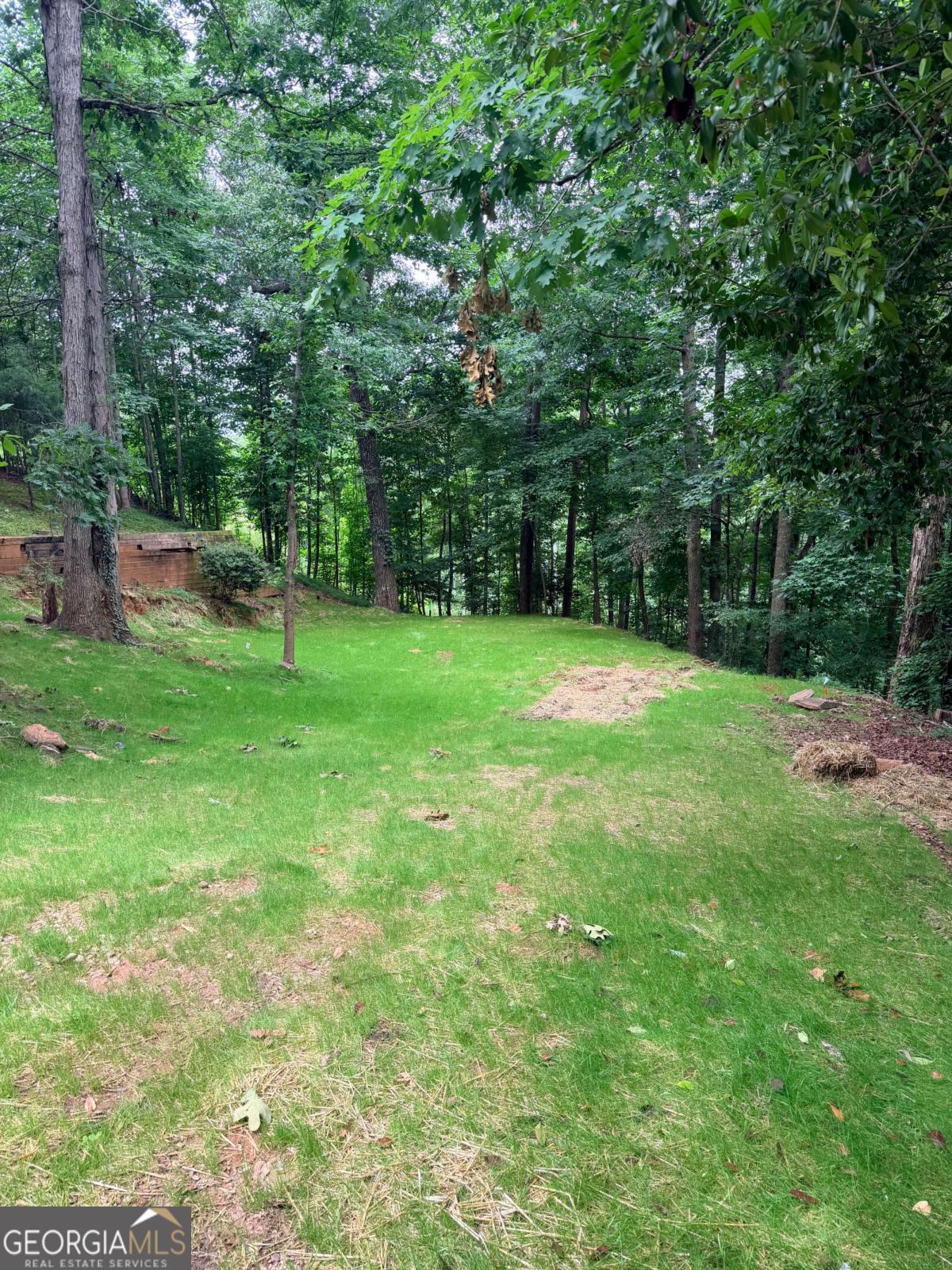 6177 Timberidge Drive Property Photo 4