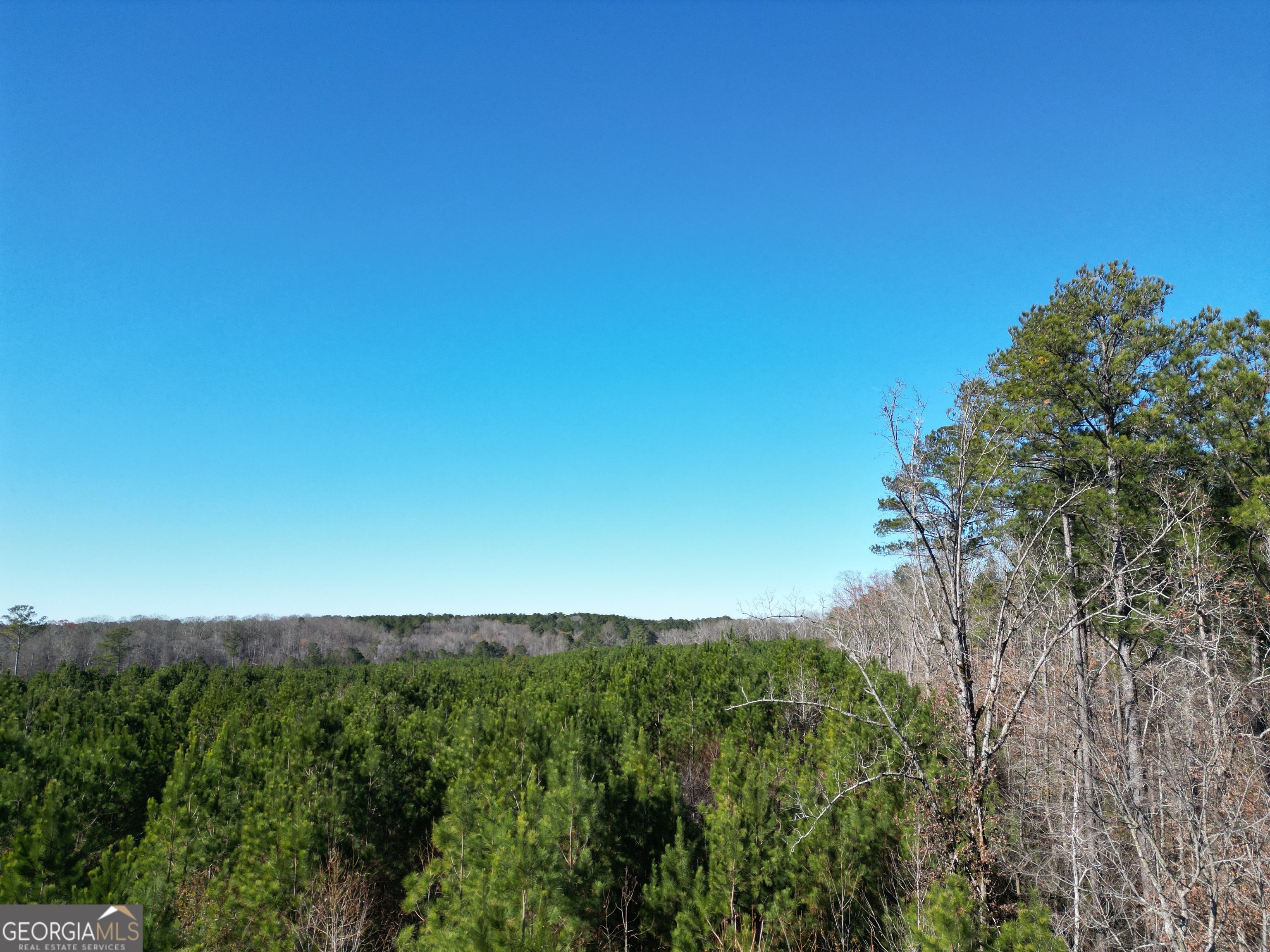 0 Jaudon Road Property Photo 2