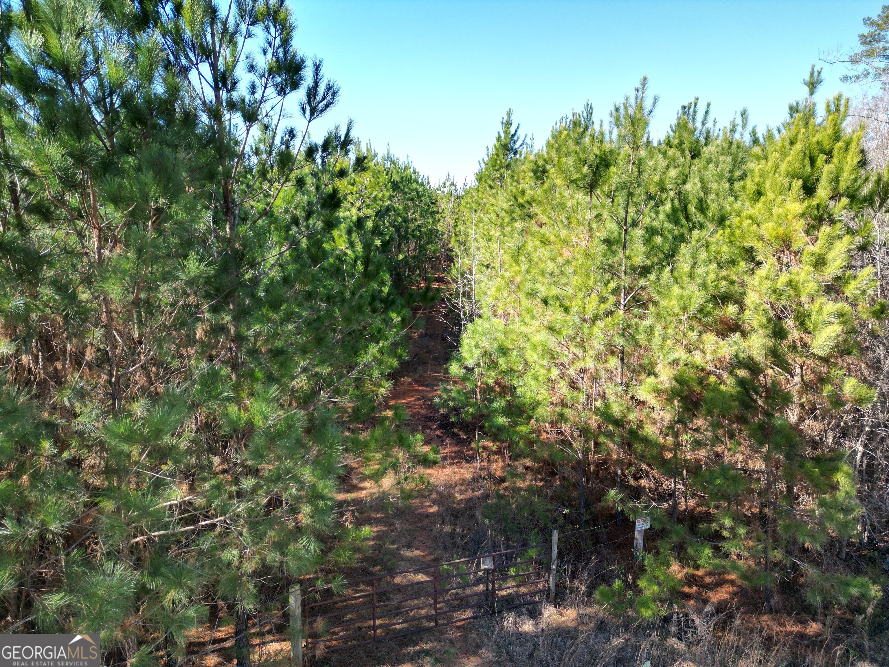0 Jaudon Road Property Photo 1