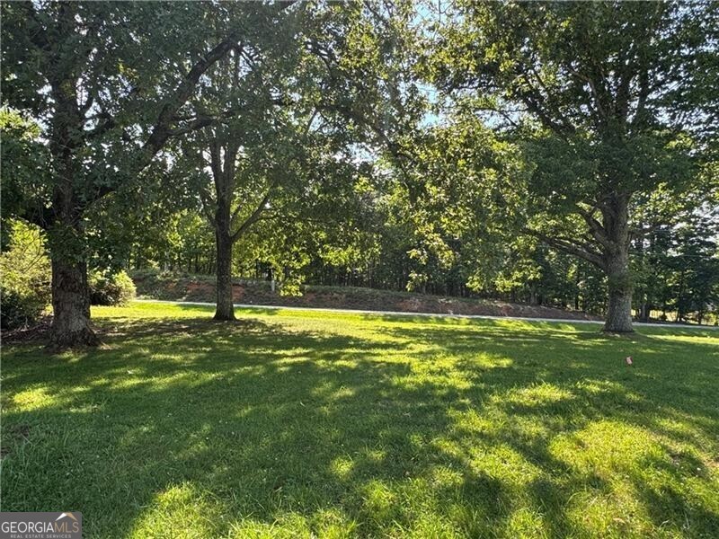 1049 Ben Higgins Road Property Photo 15
