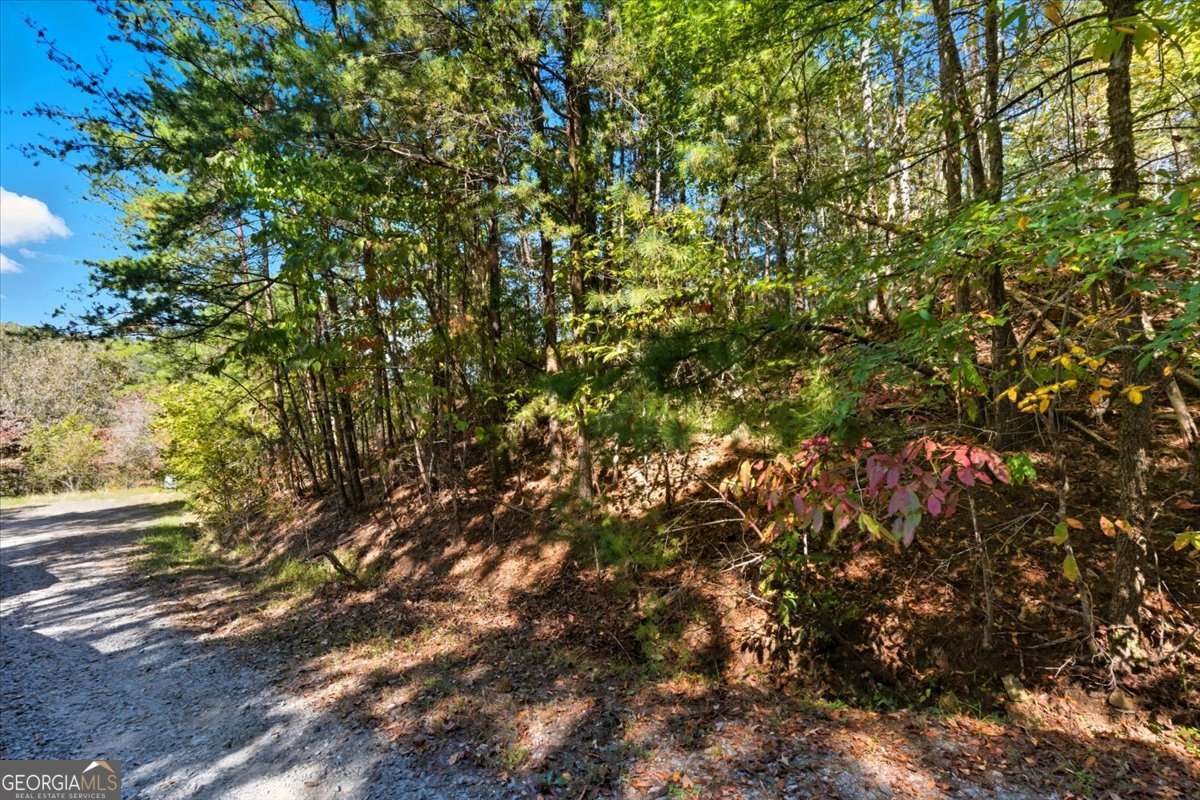 1666 Hunter Drive Property Photo 4