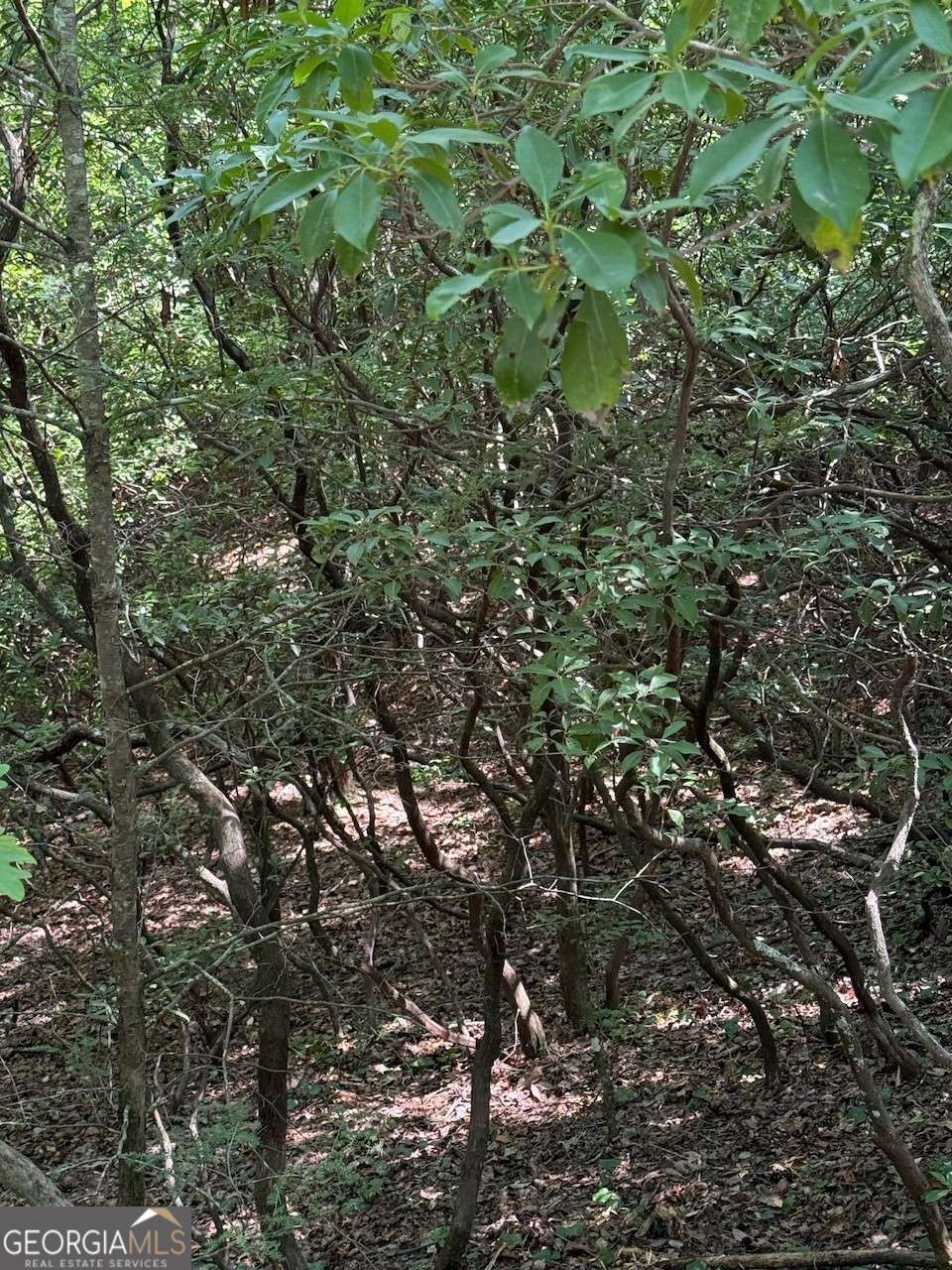 0 Crumley Creek Road # 2 Property Photo 5