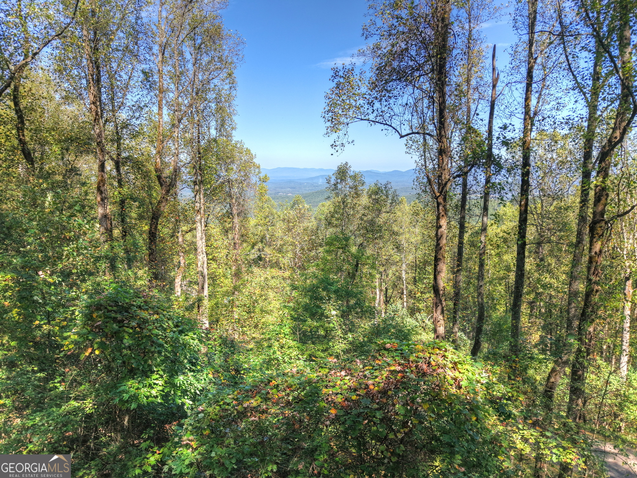 Lt 296 Andes Ridge Property Photo 1