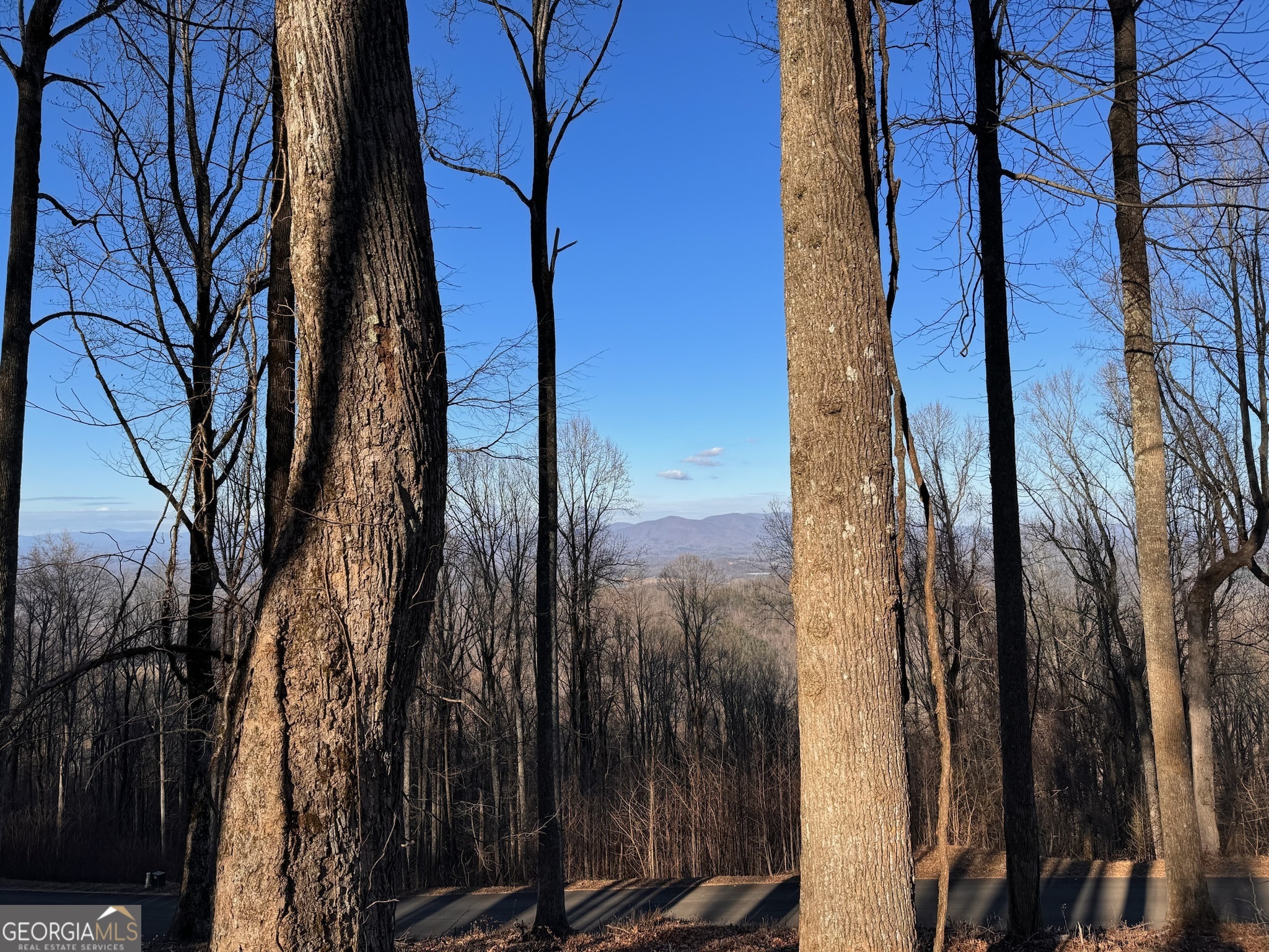 Lt 296 Andes Ridge Property Photo 2