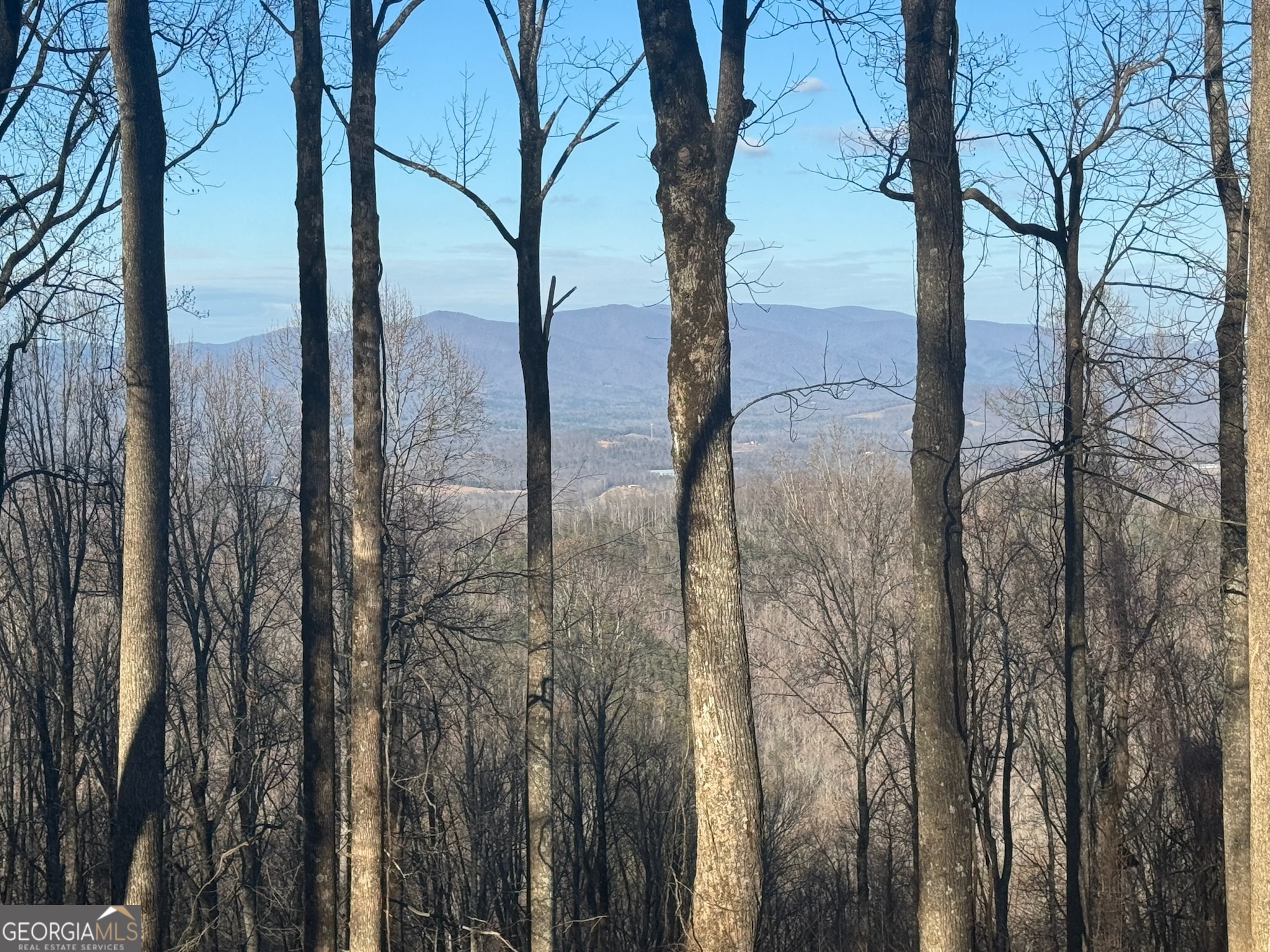 Lt 296 Andes Ridge Property Photo 3