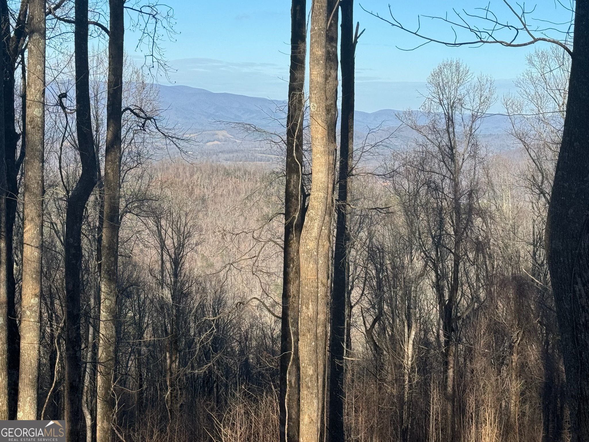 Lt 296 Andes Ridge Property Photo 6