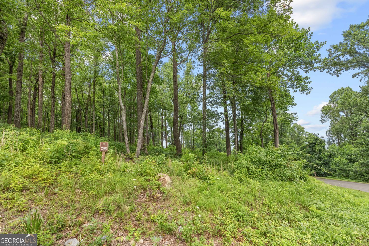 Lt 296 Andes Ridge Property Photo 7