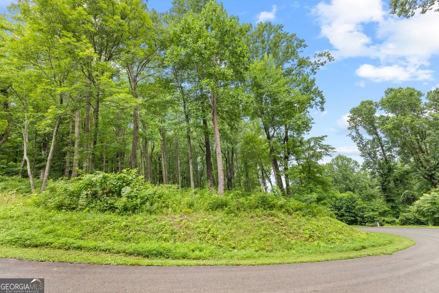 Lt 296 Andes Ridge Property Photo 8
