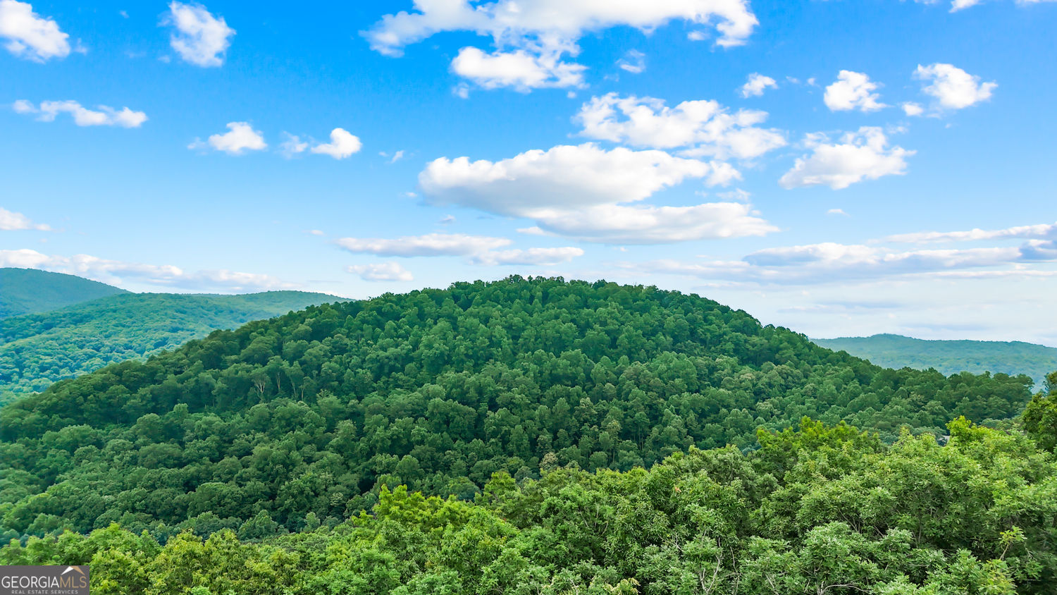 Lt 296 Andes Ridge Property Photo 9