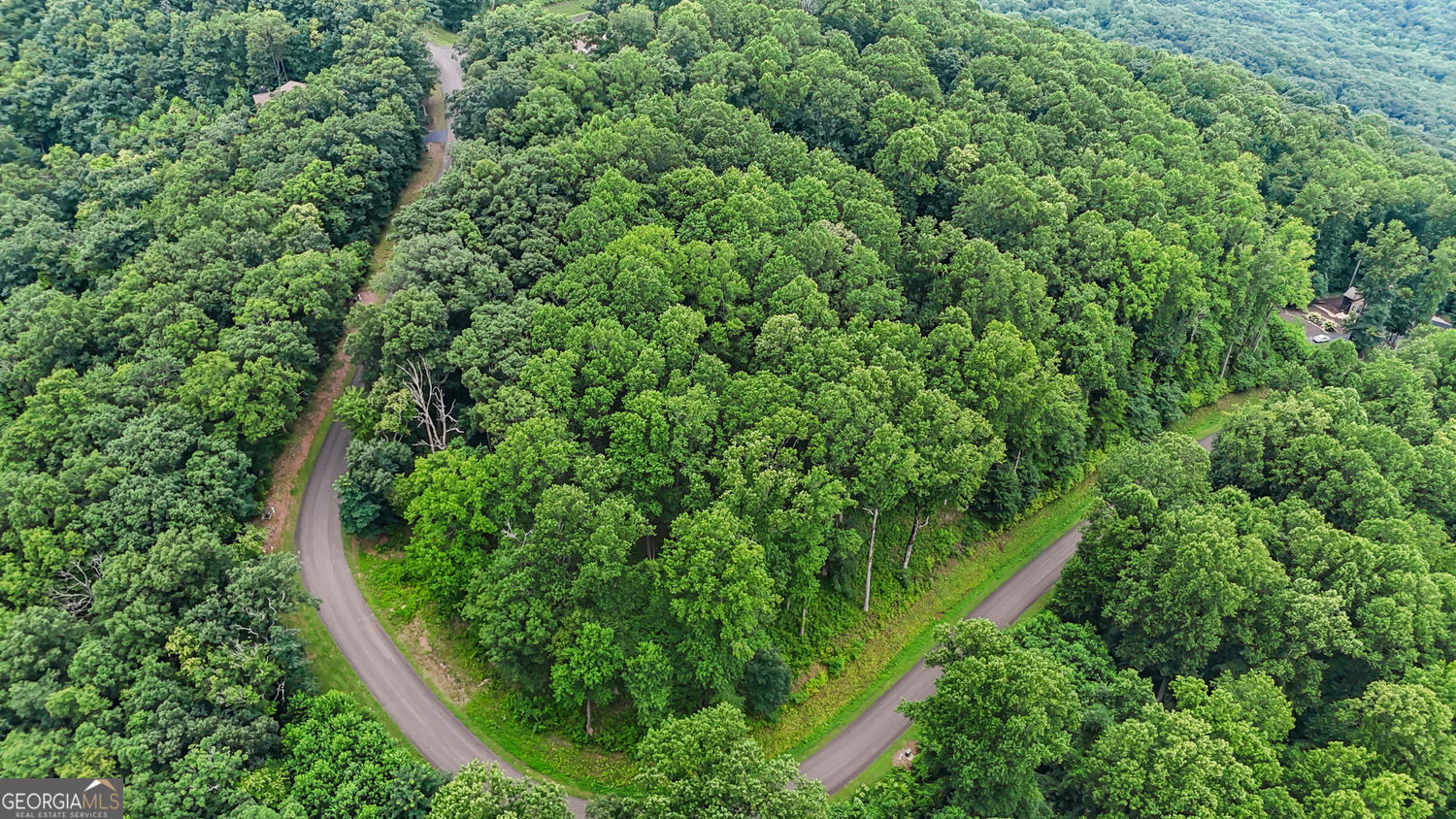 Lt 296 Andes Ridge Property Photo 11