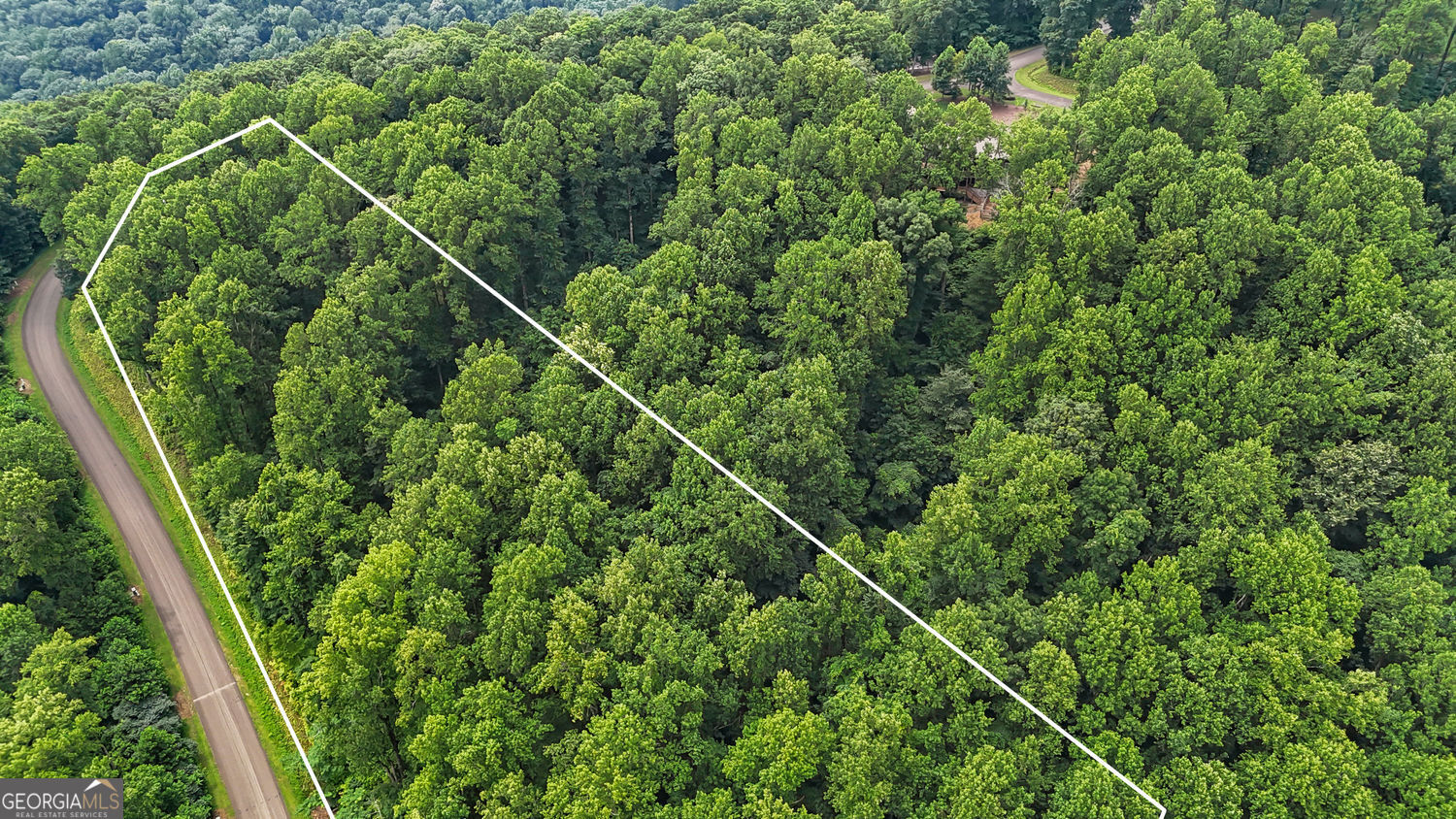 Lt 296 Andes Ridge Property Photo 14