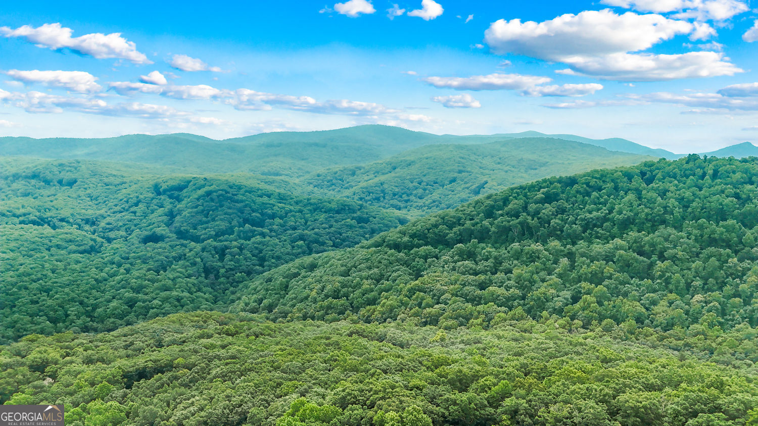 Lt 296 Andes Ridge Property Photo 16