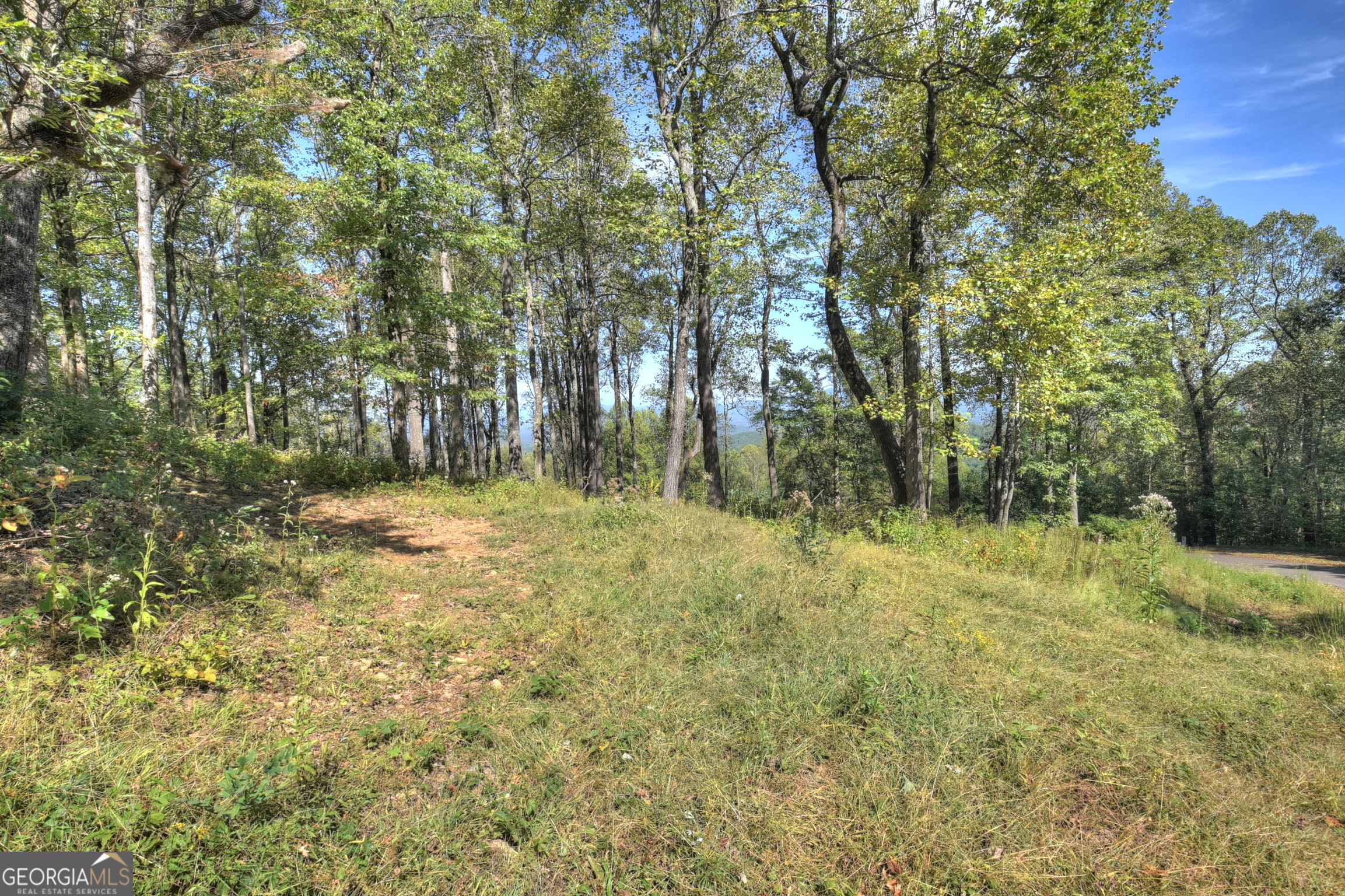 Lt 296 Andes Ridge Property Photo 17
