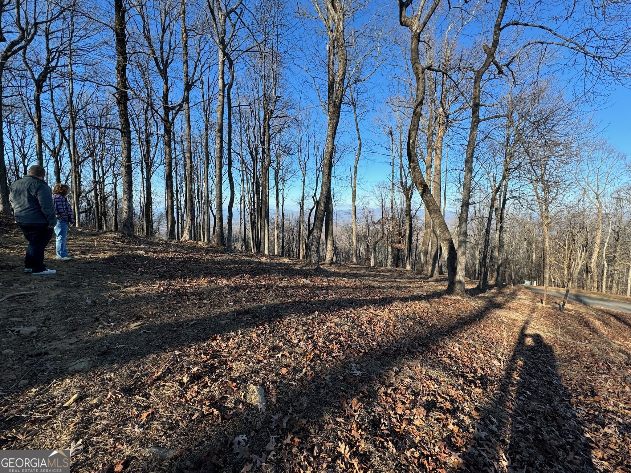 Lt 296 Andes Ridge Property Photo 18