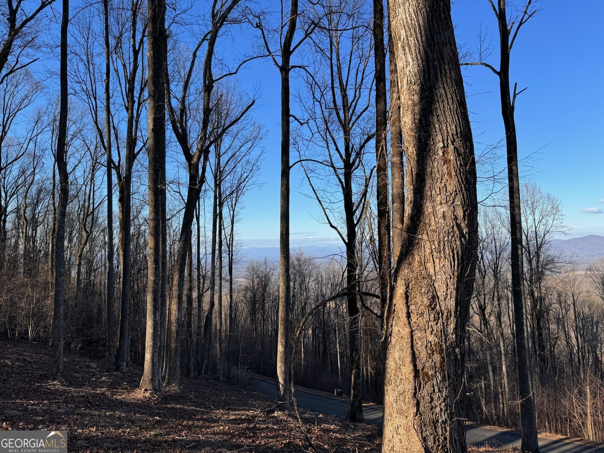 Lt 296 Andes Ridge Property Photo 19