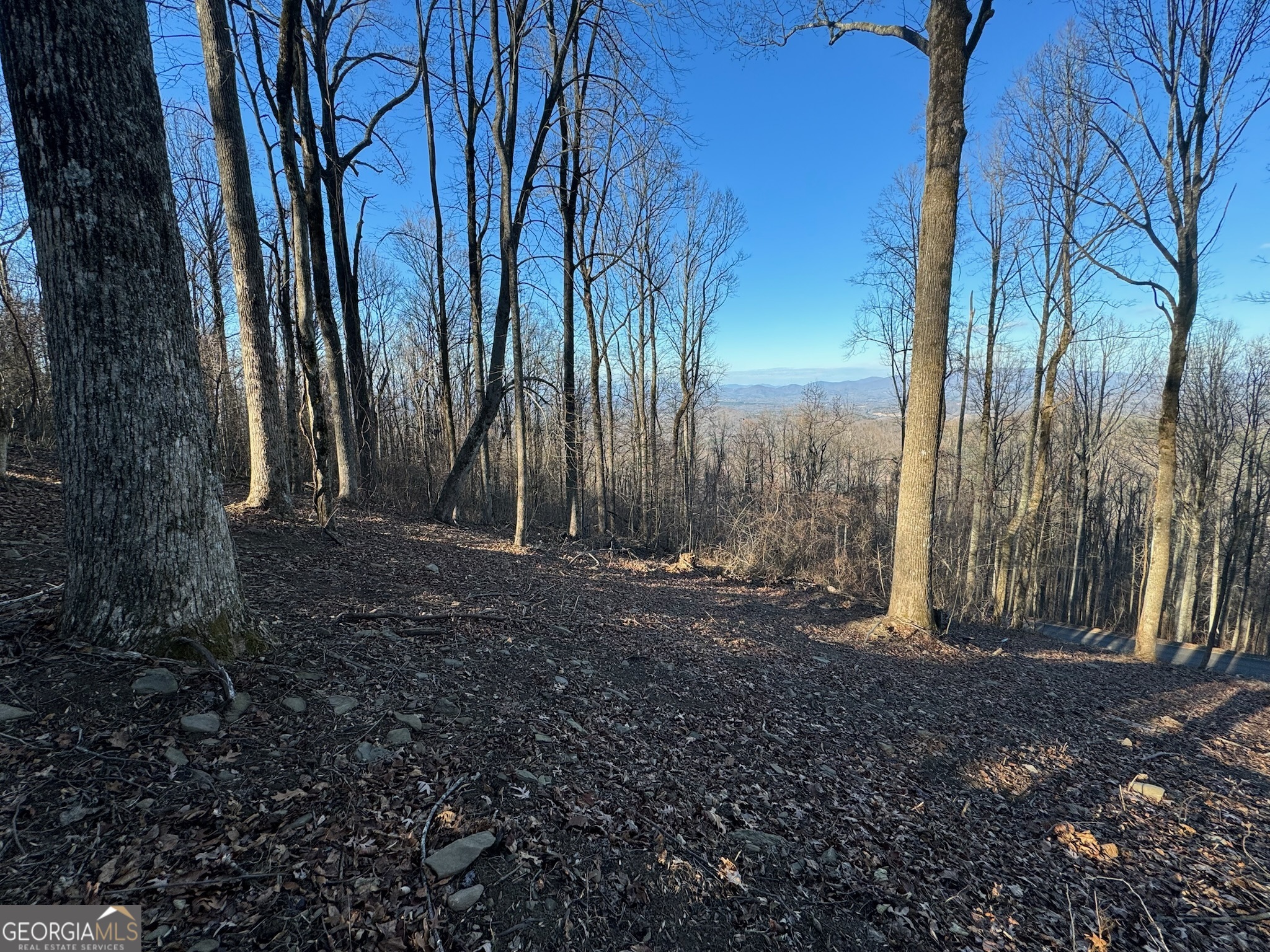 Lt 296 Andes Ridge Property Photo 20