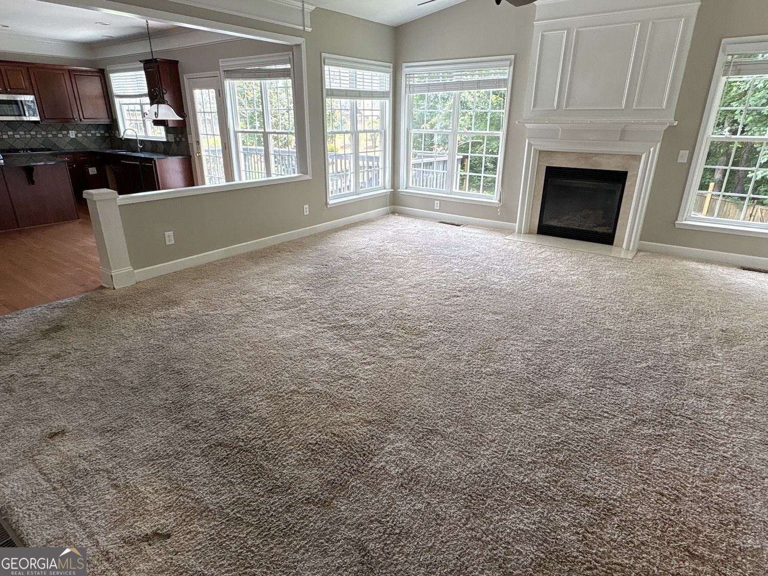 315 Harmony Lake Drive Property Photo 6