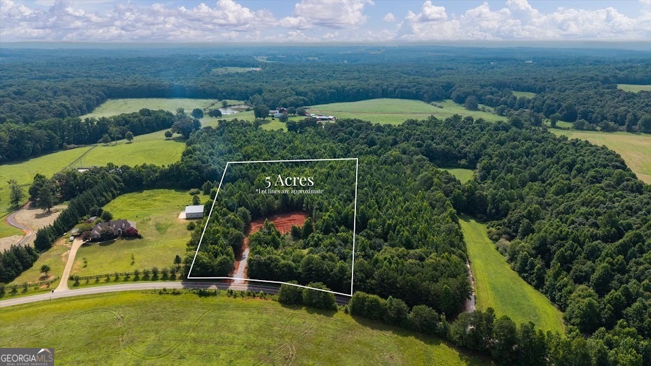 0 Shirey Dairy Road Property Photo 1