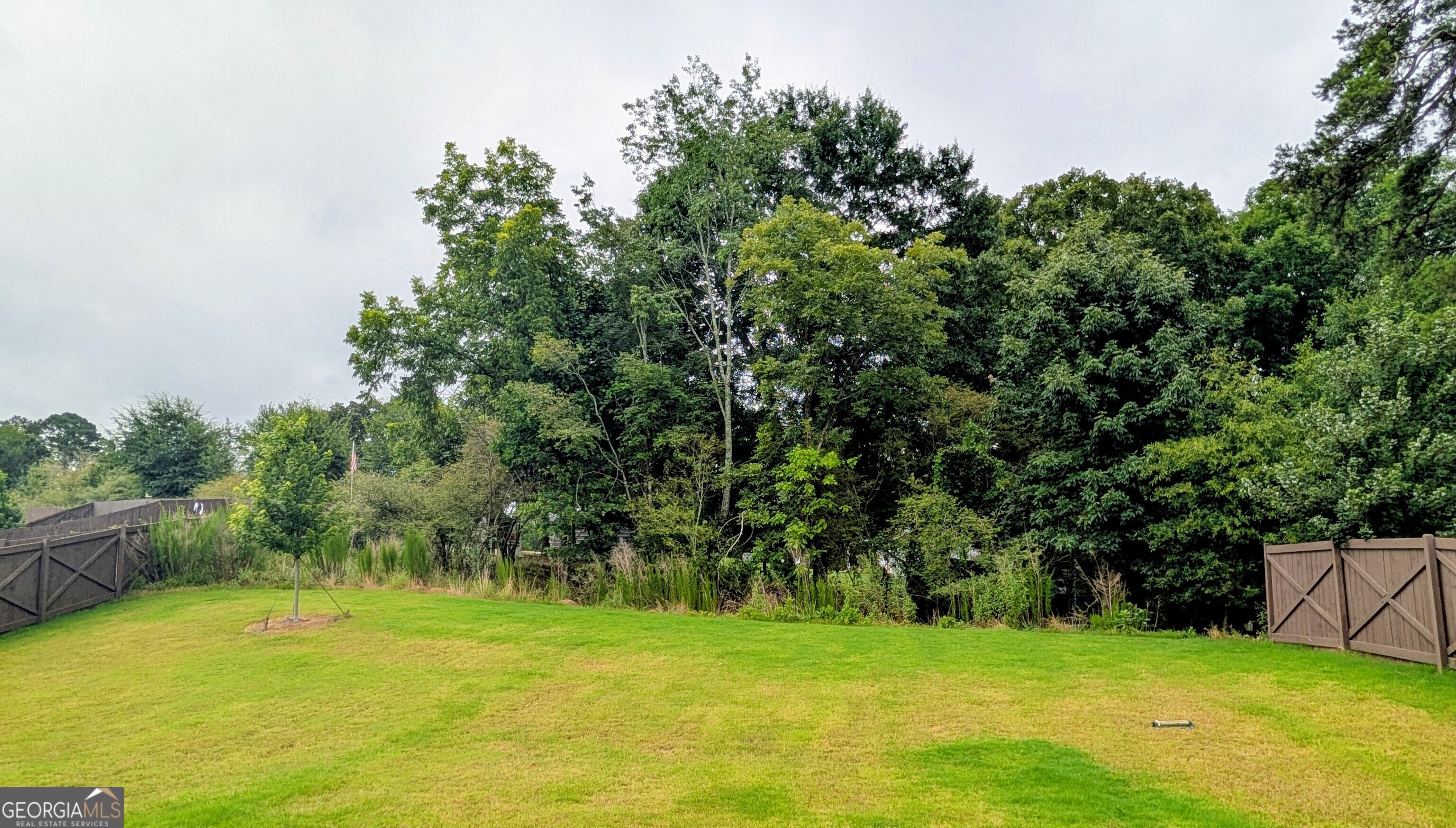 5927 Belafonte Walk Property Photo 3