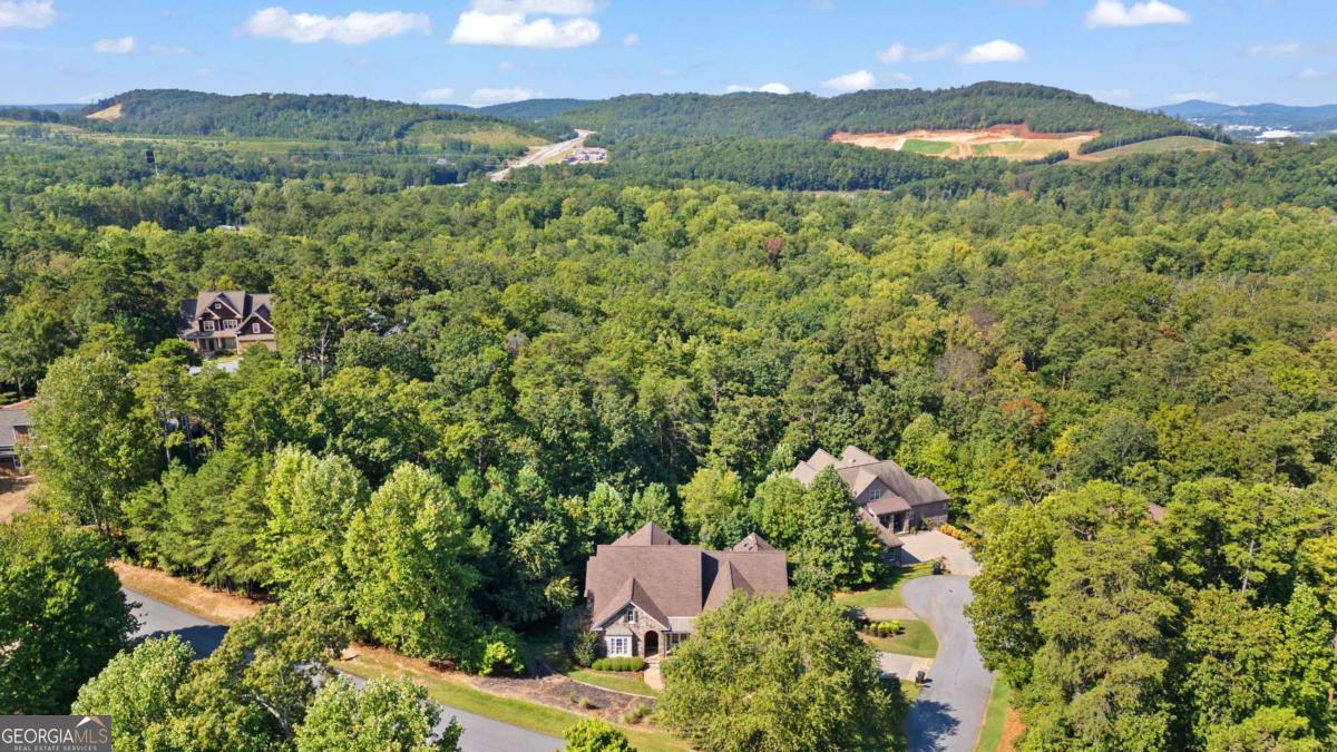 11 York Trace Property Photo 74