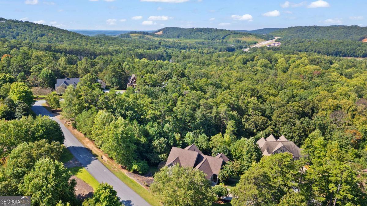 11 York Trace Property Photo 75