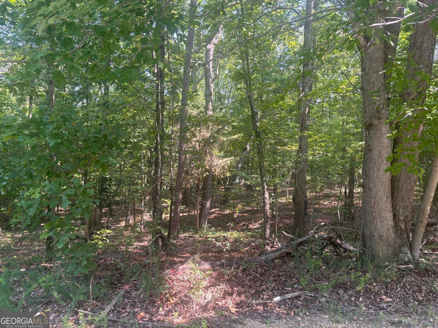 13 Jewell Drive Se Property Photo 2