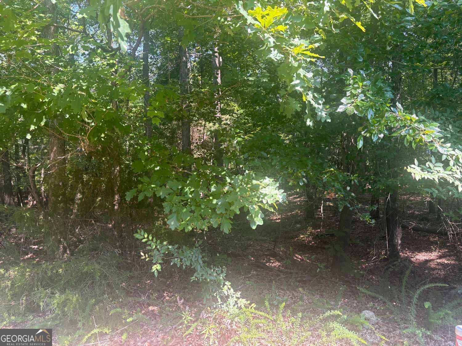 13 Jewell Drive Se Property Photo 3