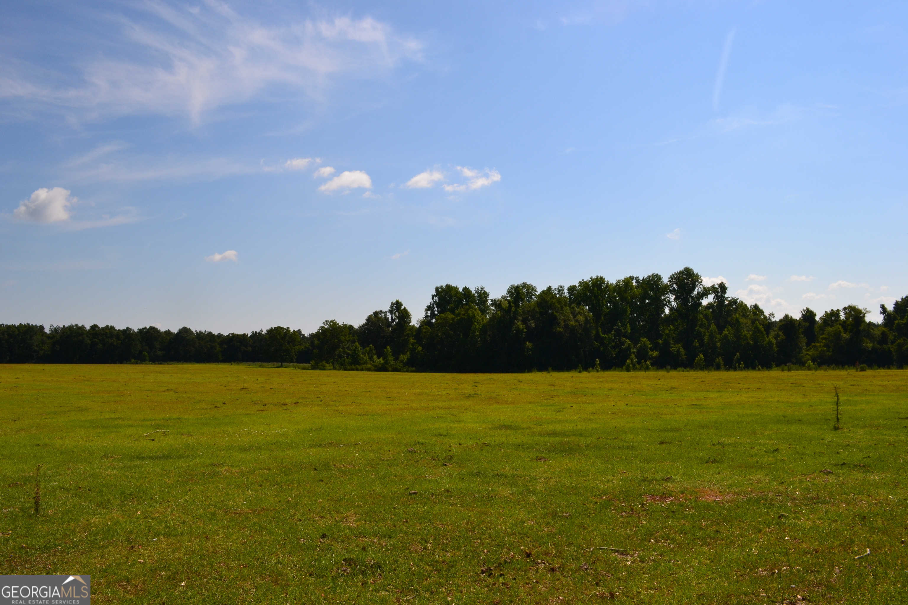 Bishop Canoochee Road Property Photo 1