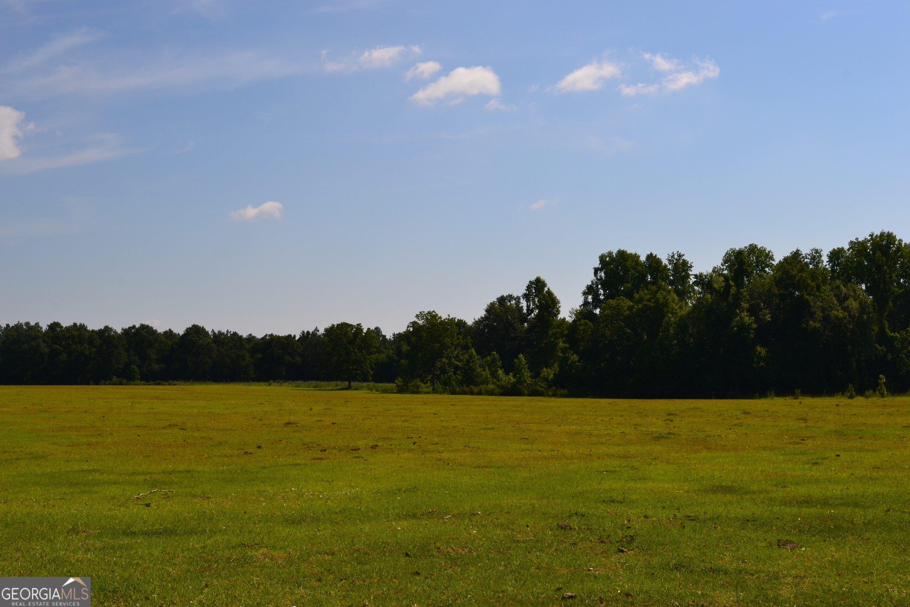 Bishop Canoochee Road Property Photo 2