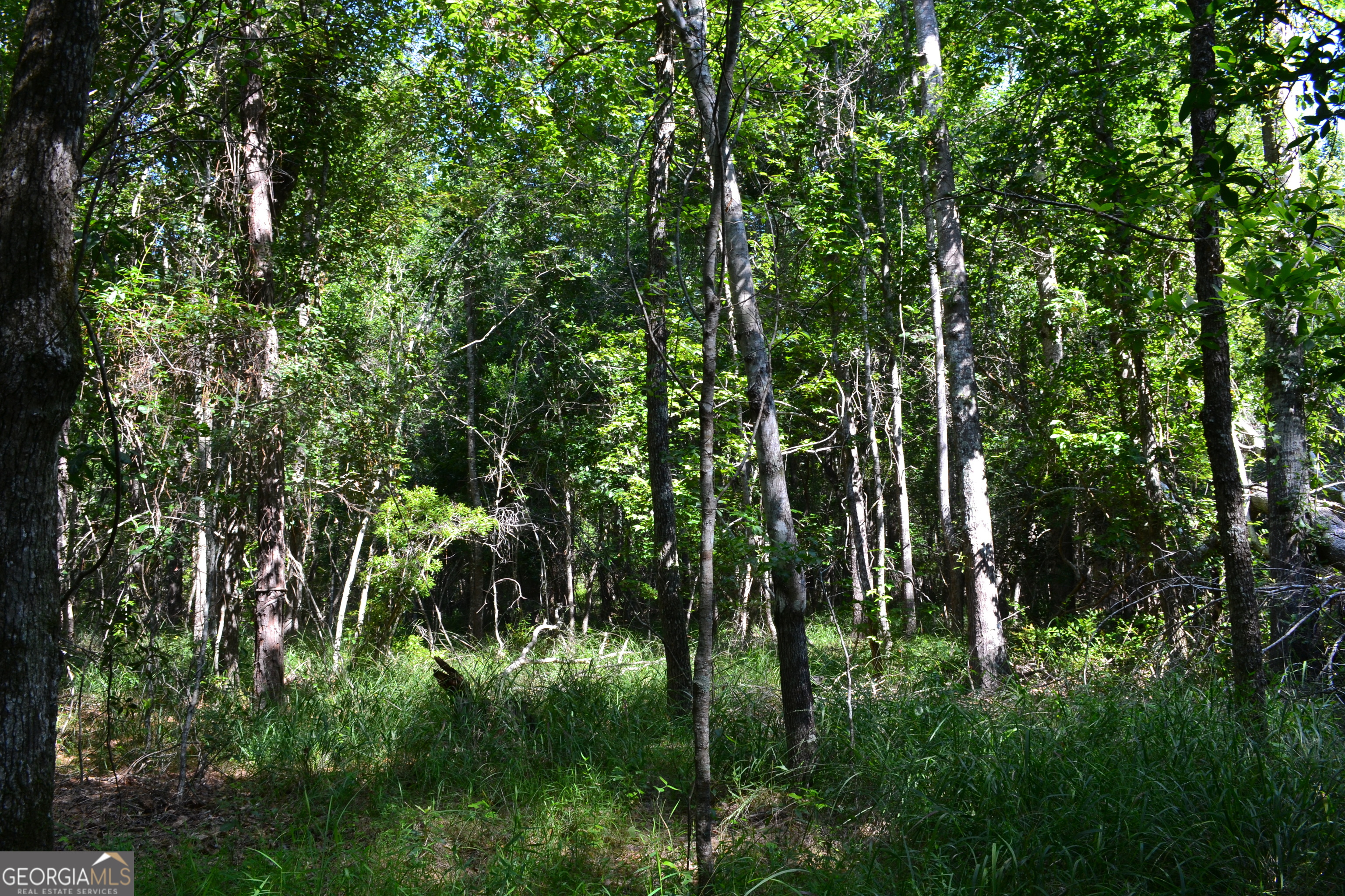 Bishop Canoochee Road Property Photo 3