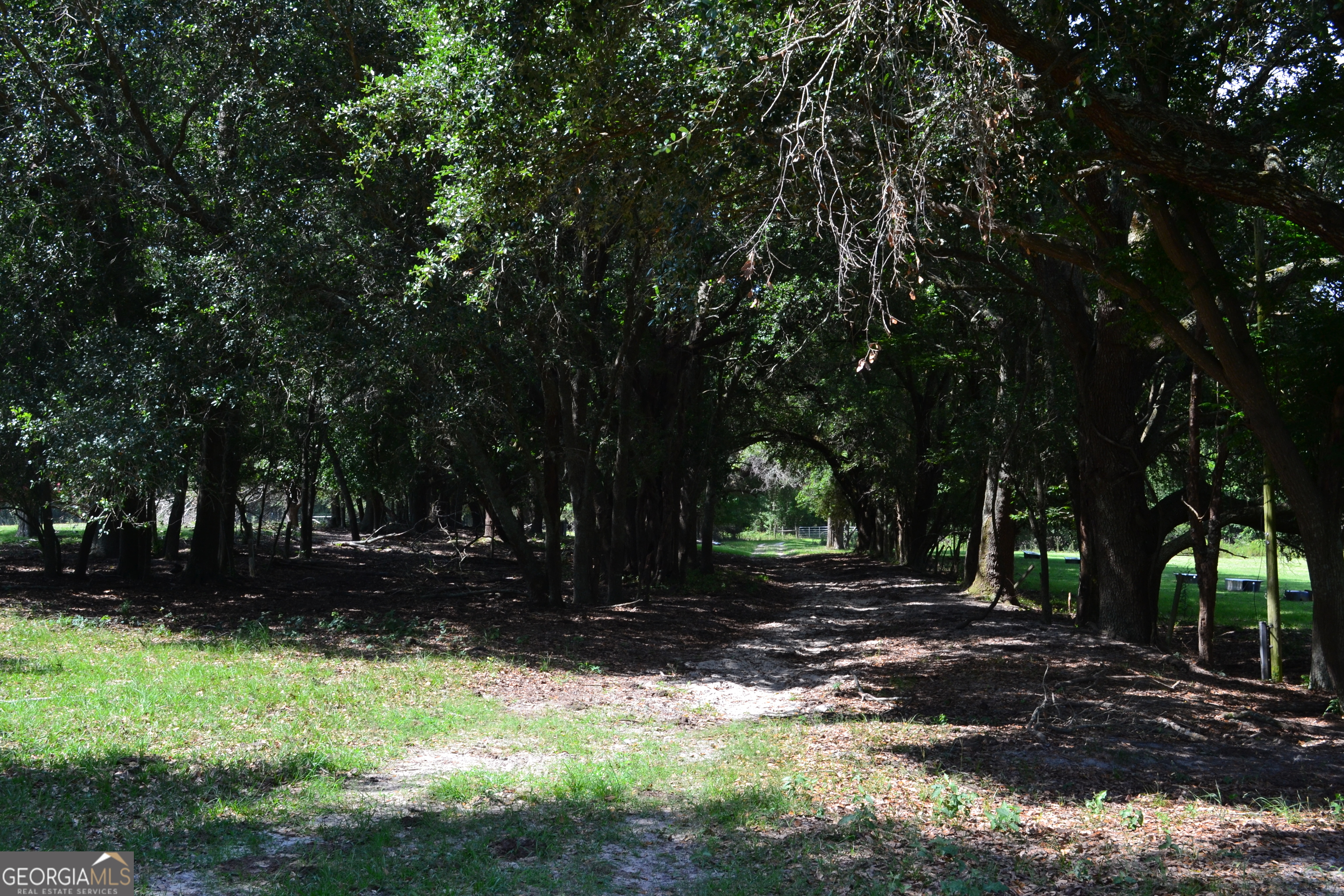 Bishop Canoochee Road Property Photo 5