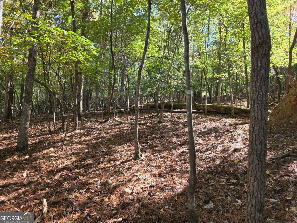 LOT #385 Zenith Trail # 385 Property Photo 1