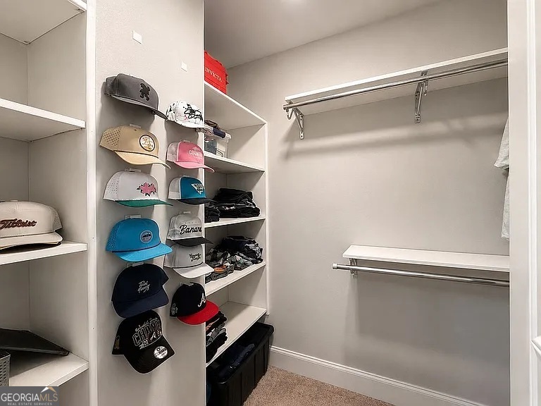 532 Black Horse Circle Property Photo 18
