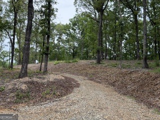 2180 Dunn Road Property Photo 2
