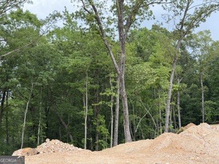 2180 Dunn Road Property Photo 5