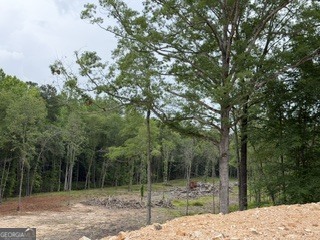 2180 Dunn Road Property Photo 6