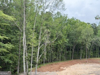 2180 Dunn Road Property Photo 7