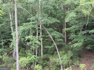 2180 Dunn Road Property Photo 9