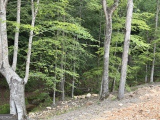 2180 Dunn Road Property Photo 10
